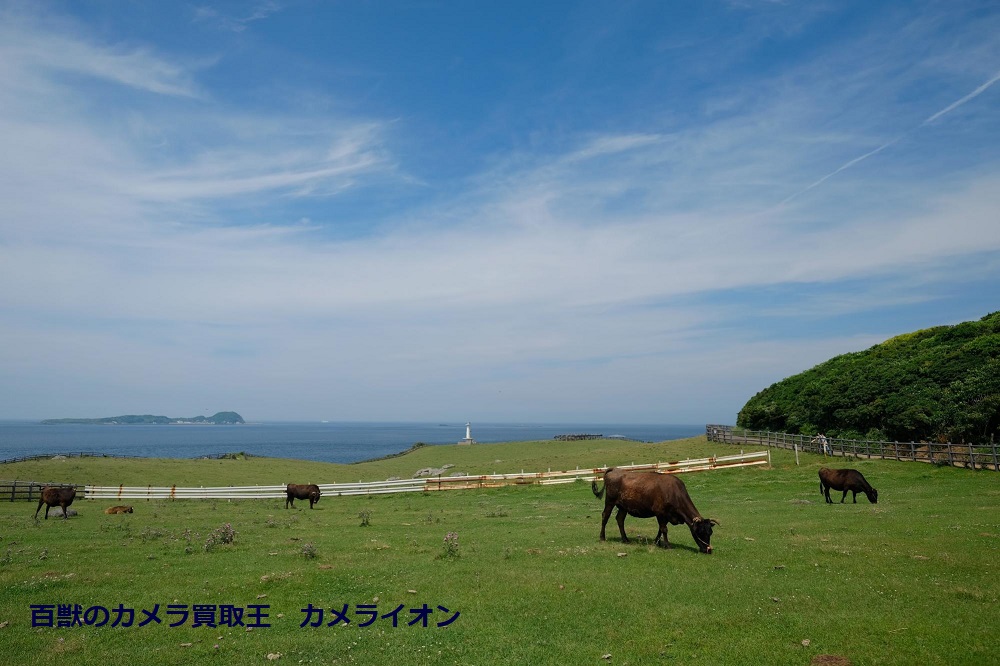 saga10 X-T20 XF14mm 佐賀県