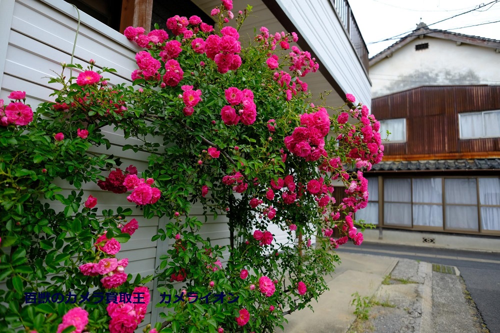 saga18 X-T20 XF14mm 佐賀県