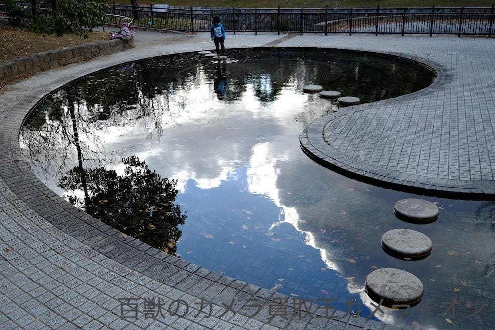 上坂部西公園2 上坂部西公園 桜