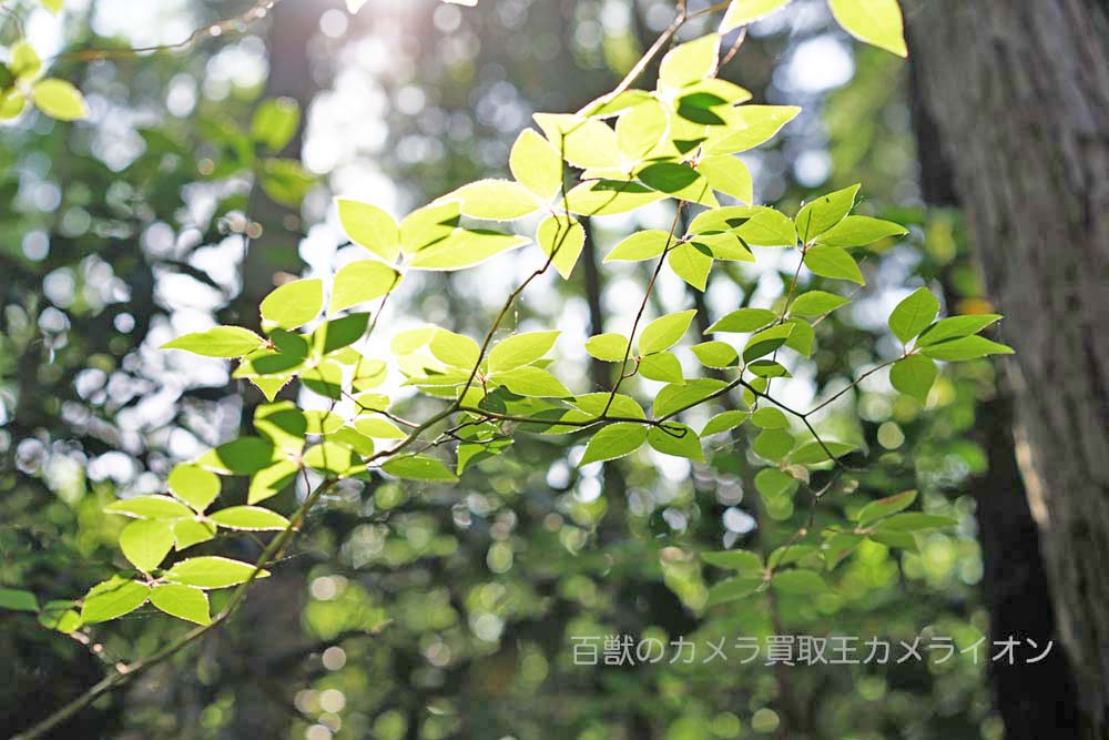 3つの設定2 3つの設定