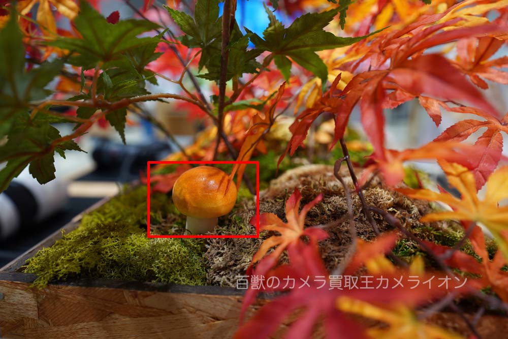 画素1 画素