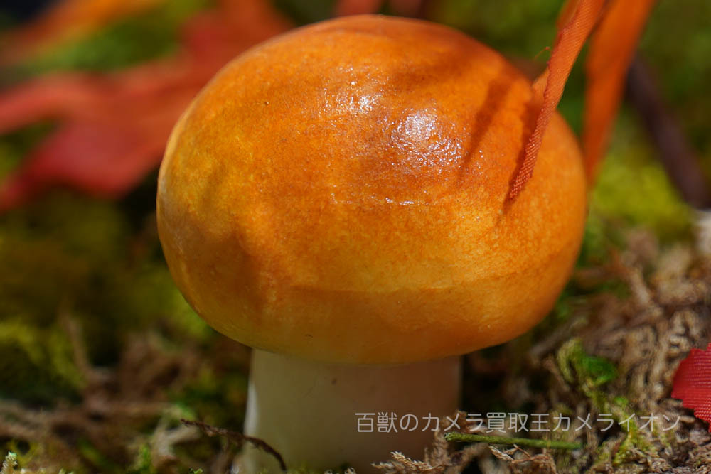 画素3 画素