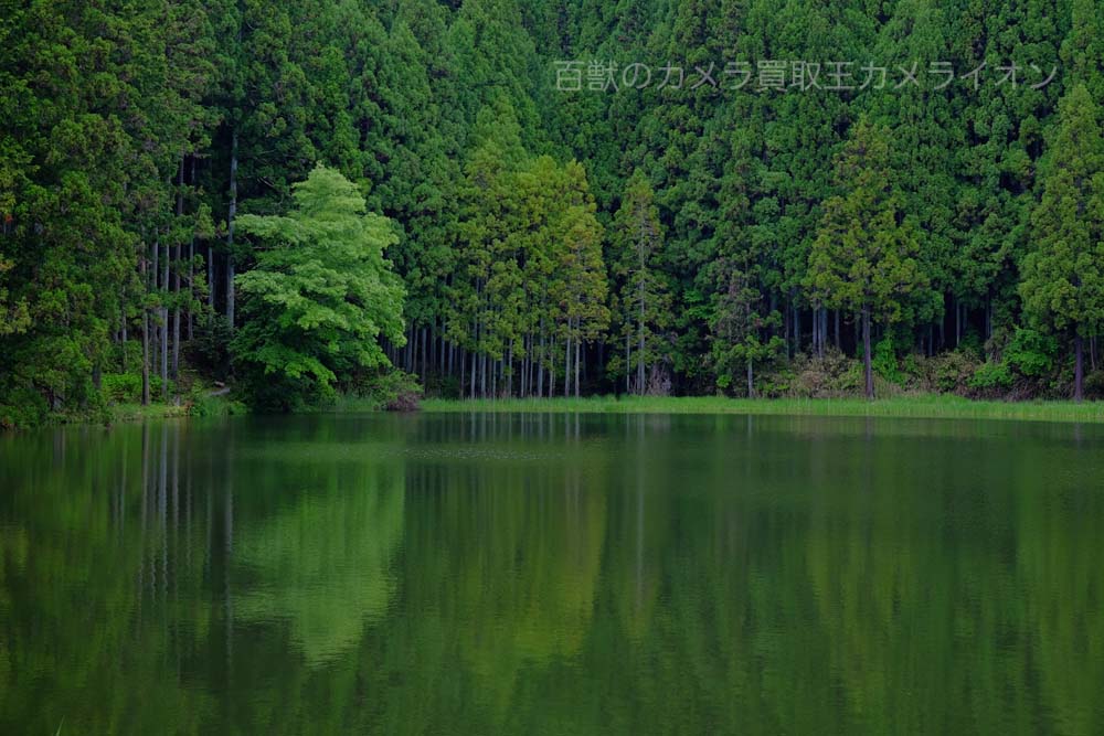 龍王ヶ淵1 龍王ヶ淵