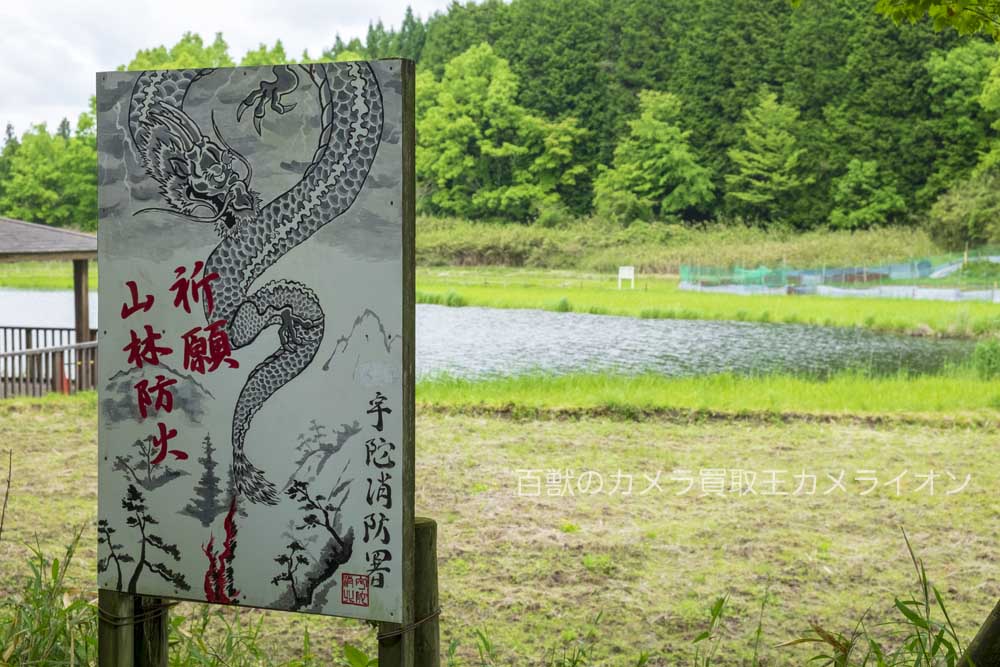 龍王ヶ淵3 龍王ヶ淵