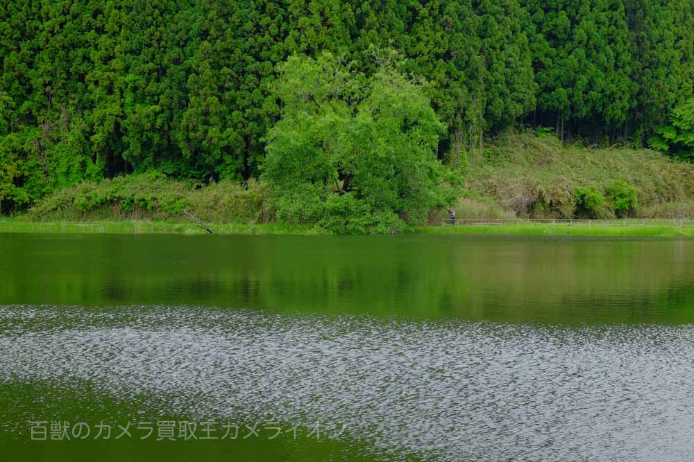 龍王ヶ淵6 龍王ヶ淵