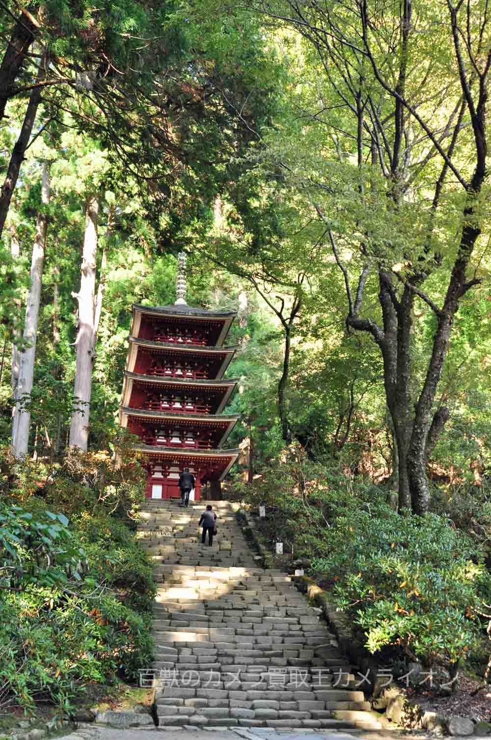 龍王ヶ淵7 室生寺