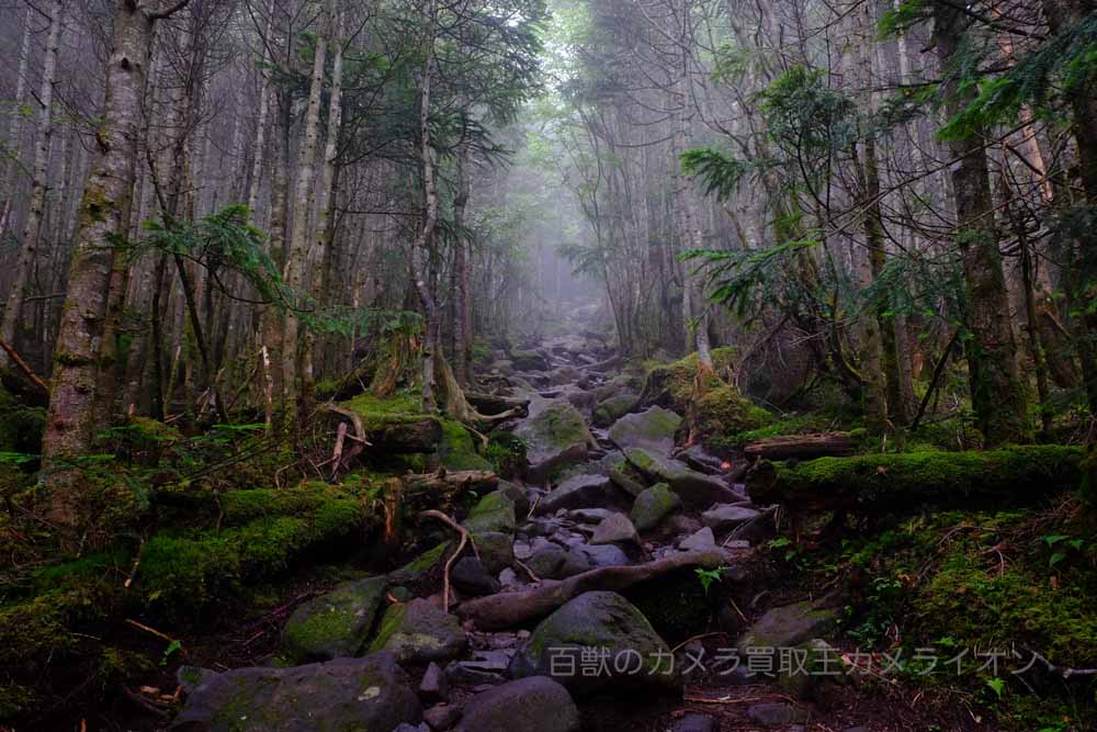 雨の日撮影2 雨の日撮影